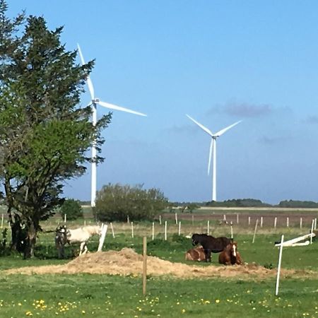 Gaestehuset “Vesterhede” Ringkøbing Exteriör bild