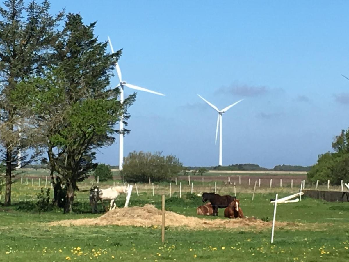 Gaestehuset “Vesterhede” Ringkøbing Exteriör bild
