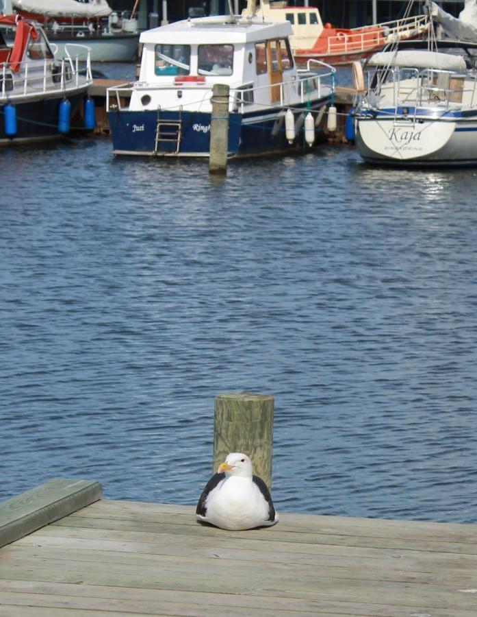 Gaestehuset “Vesterhede” Ringkøbing Exteriör bild